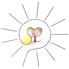  Sonnenschule